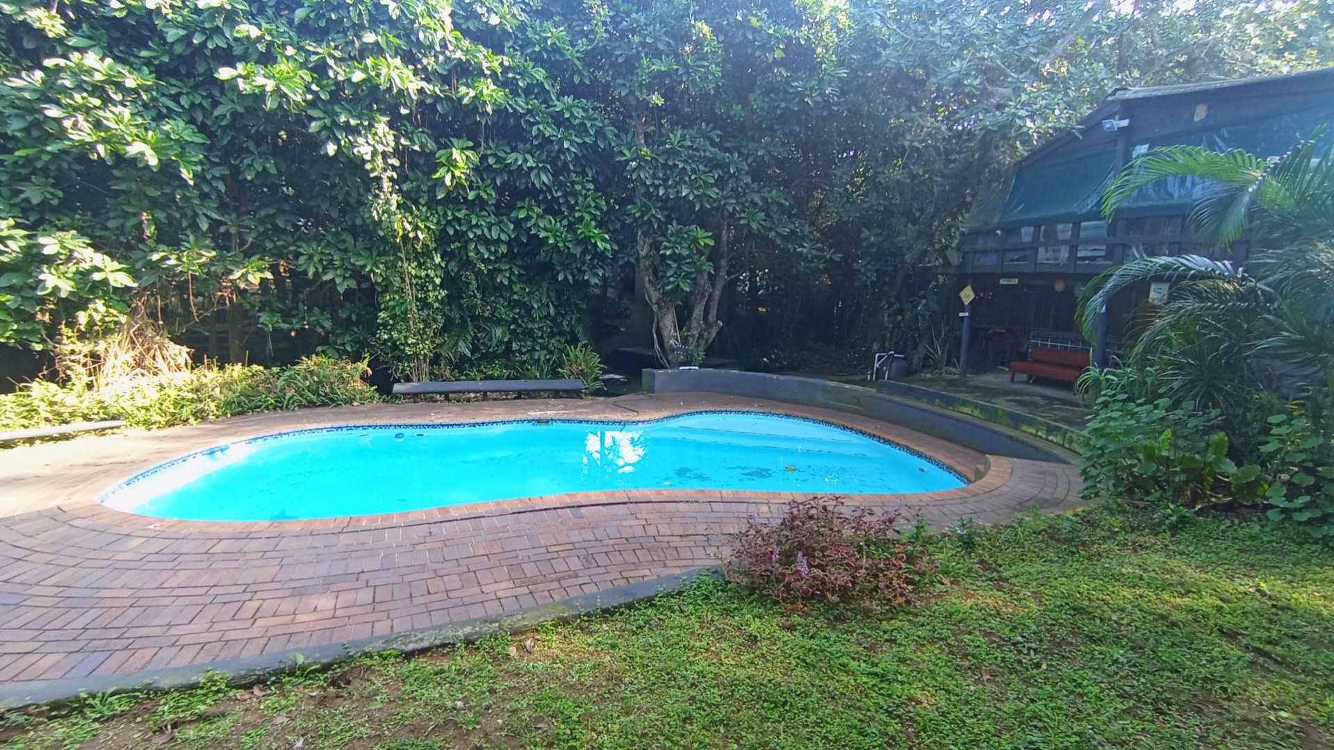 Swimming Pool of property in Blythedale