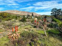  of property in Barrydale