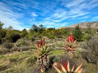  of property in Barrydale