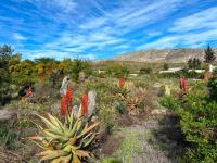  of property in Barrydale