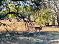  of property in Wigwam