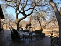  of property in Hoedspruit