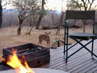  of property in Hoedspruit