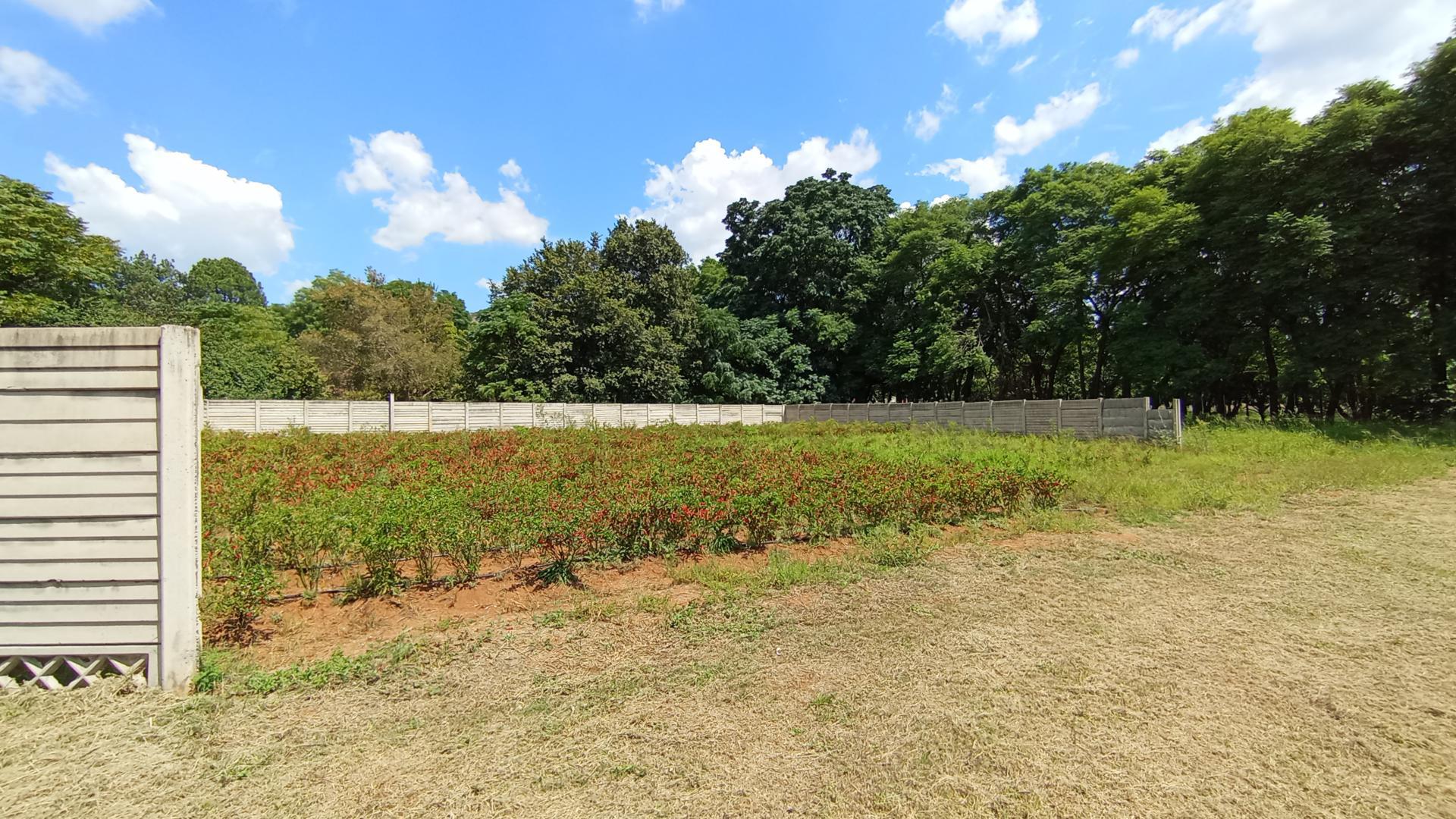 Backyard of property in Sunset View AH