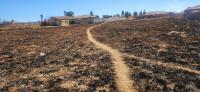  of property in Jameson Park