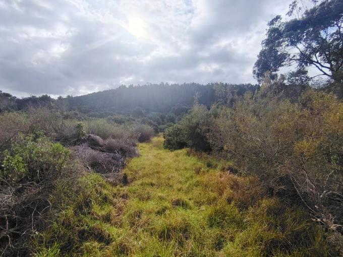 Land for Sale For Sale in Plettenberg Bay - MR689967