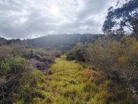  of property in Plettenberg Bay