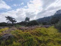  of property in Plettenberg Bay
