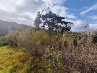  of property in Plettenberg Bay