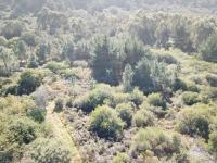  of property in Plettenberg Bay