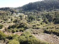  of property in Plettenberg Bay
