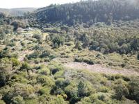  of property in Plettenberg Bay