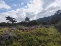  of property in Plettenberg Bay