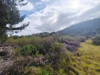  of property in Plettenberg Bay