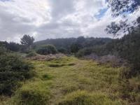  of property in Plettenberg Bay
