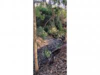 of property in Plettenberg Bay