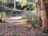  of property in Plettenberg Bay