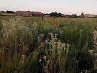  of property in Jameson Park