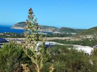  of property in Robberg Ridge