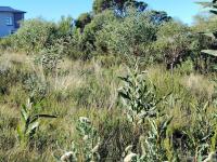  of property in Robberg Ridge
