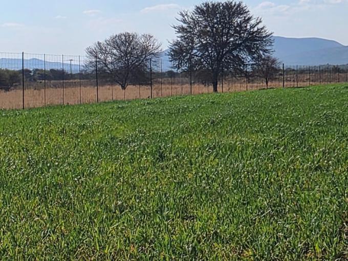 Farm for Sale For Sale in Doornlaagte - MR690124