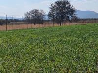 Farm for Sale for sale in Doornlaagte