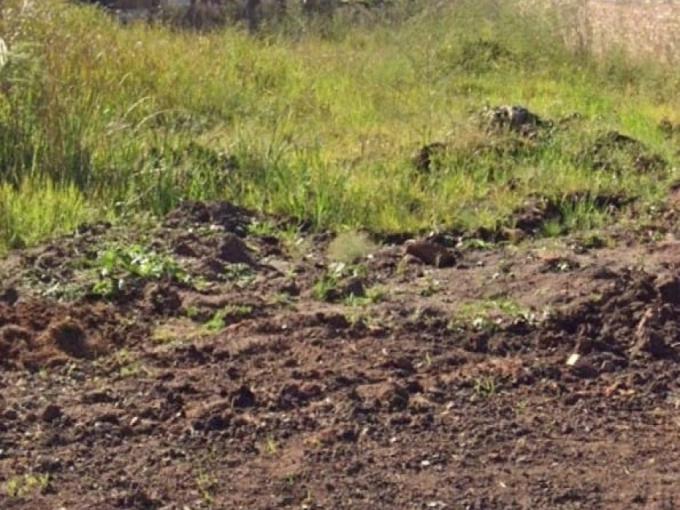 Land for Sale For Sale in Dennesig - MR690287