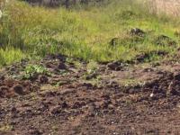  of property in Dennesig