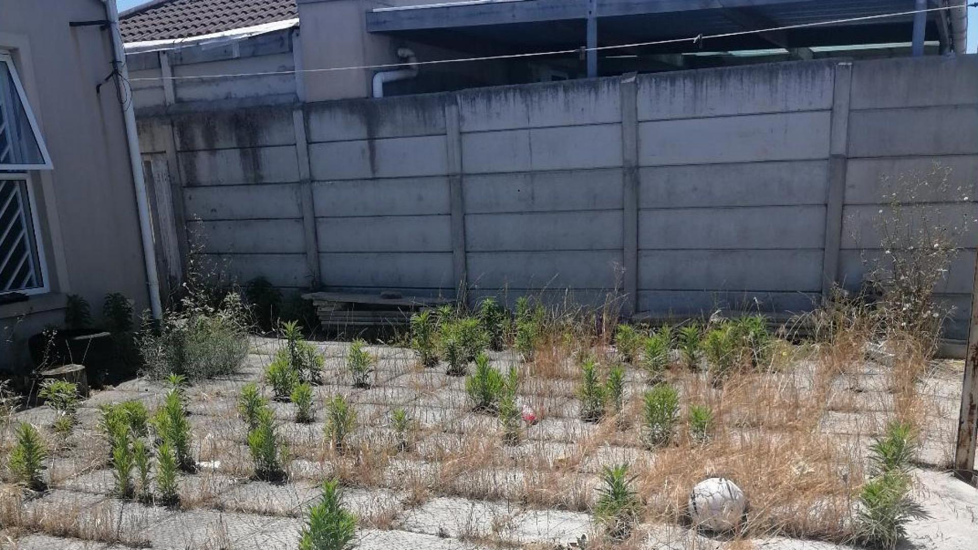 Backyard of property in Weltevreden Valley