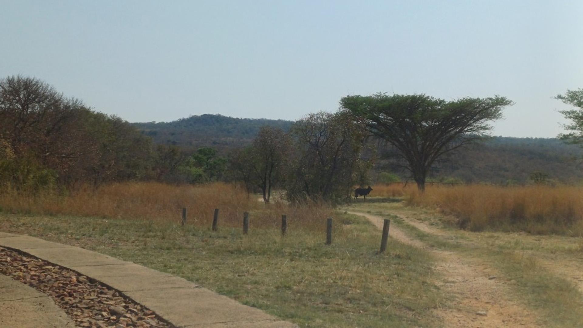 Spaces of property in Bela-Bela (Warmbad)