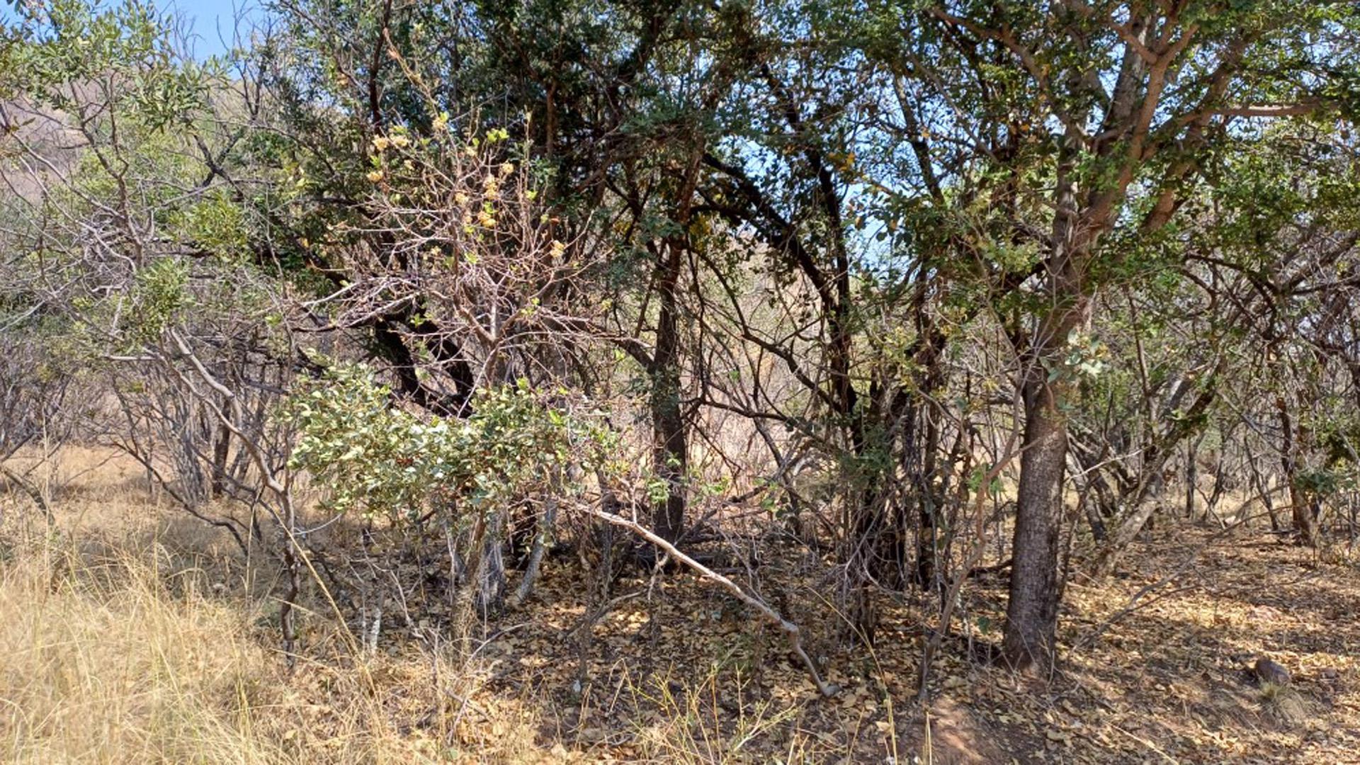 Spaces of property in Bela-Bela (Warmbad)