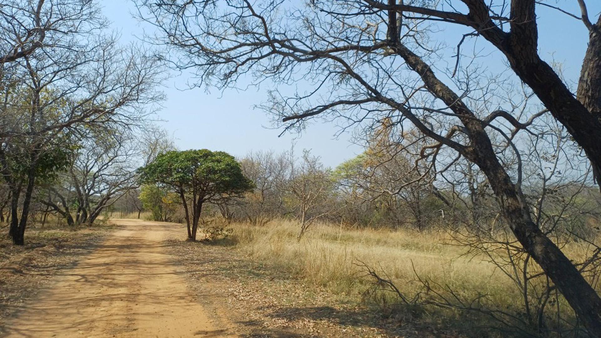 Spaces of property in Bela-Bela (Warmbad)