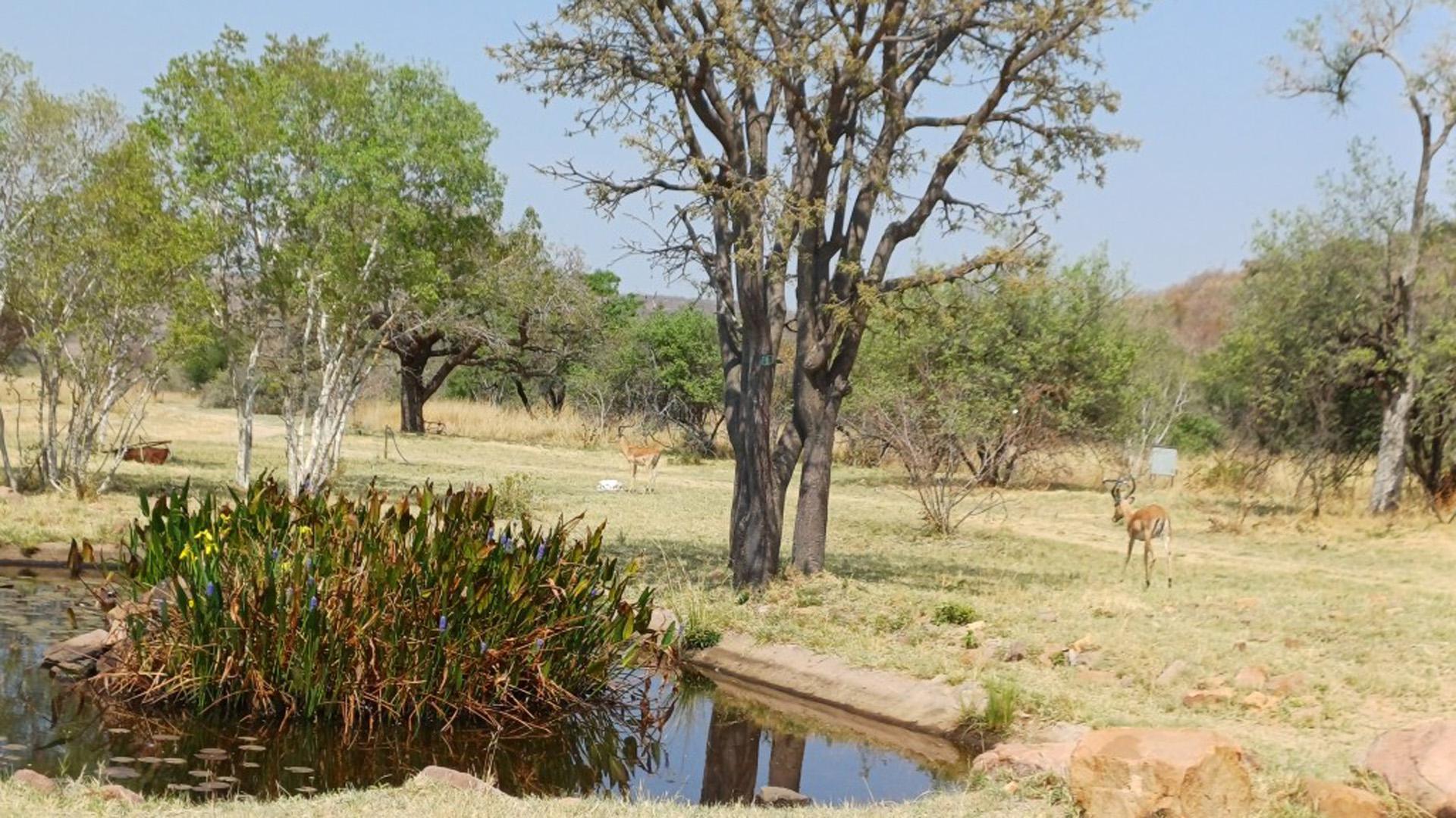 Spaces of property in Bela-Bela (Warmbad)