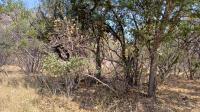 Spaces of property in Bela-Bela (Warmbad)