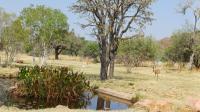 Spaces of property in Bela-Bela (Warmbad)