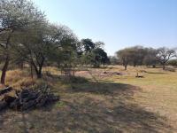  of property in Bela-Bela (Warmbad)