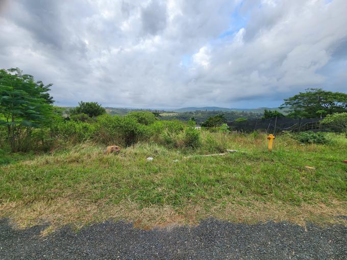 Land for Sale For Sale in Padianagar - MR690752