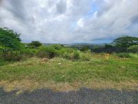  of property in Padianagar