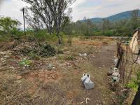  of property in Mandini