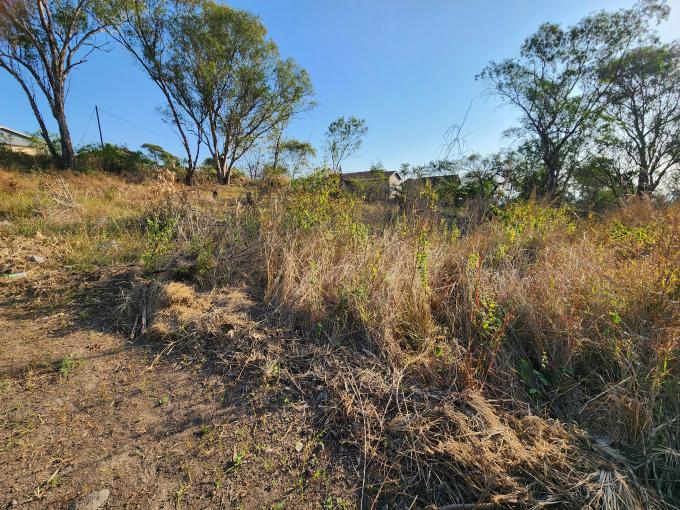 Land for Sale For Sale in Mandini - MR690756