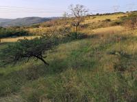  of property in Tugela