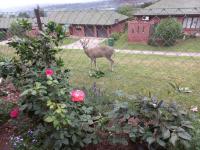  of property in Howick