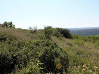 of property in Port Alfred