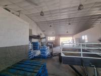  of property in Polokwane