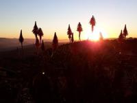  of property in Camperdown