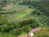  of property in Peacevale