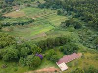  of property in Peacevale