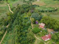  of property in Peacevale