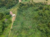  of property in Peacevale