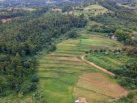  of property in Peacevale